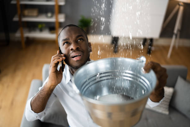 Best Basement water damage restoration  in Chester Center, CT