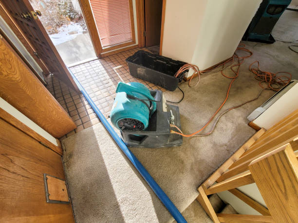 Best Carpet water damage restoration  in Chester Center, CT