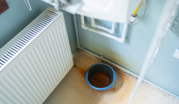 Best Mold removal after water damage  in Chester Center, CT