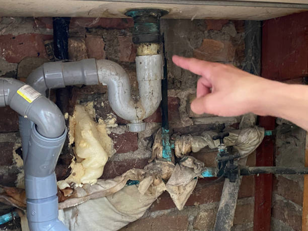 Best Flood damage cleanup  in Chester Center, CT