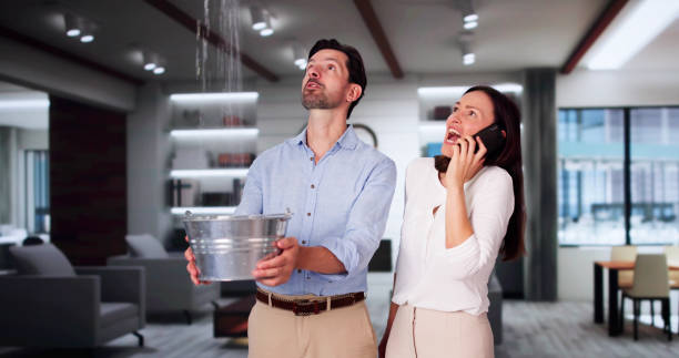 Best Water damage contractors near me  in Chester Center, CT